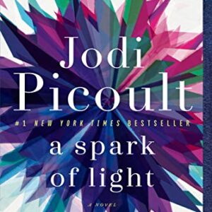 A Spark of Light: A Novel Kindle Edition by Jodi Picoult