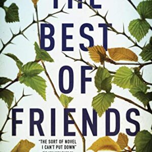 The Best of Friends Lucinda Berry