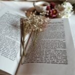Subscription for Readers Access (Monthly)